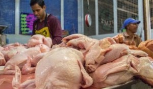 Para comprar un pollo en Puerto La Cruz se requieren al menos 50 mil bolívares