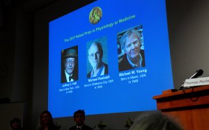 Tres científicos estadounidenses ganan el Premio Nobel de Medicina 2017