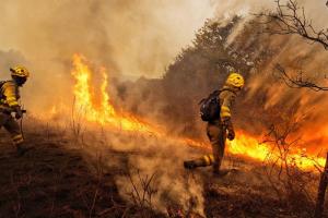Al menos dos personas fallecen en incendios en Galicia