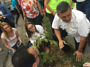 Vecinos de Baruta plantaron araguaneyes en memoria de los jóvenes caídos