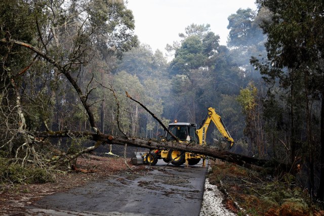 Un excavador trata de remover un árbol, luego de los incendios en Portugal. Reuters