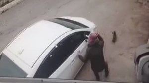 OMG… Acachapó con su carro a un perrito frente a los ojos de su dueño (+video)