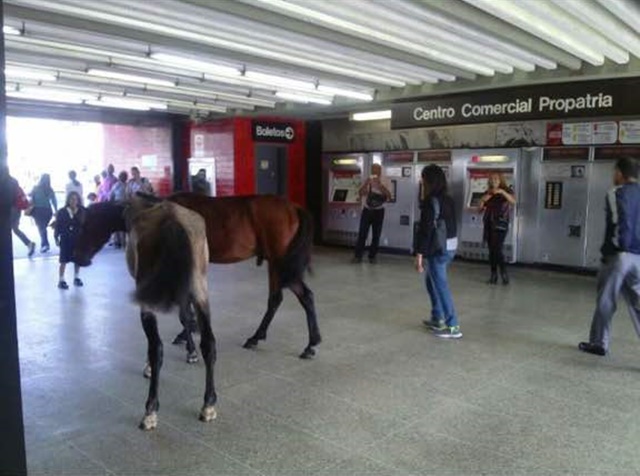 burros Metro