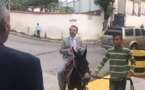 Rafael Lacava llega a Caracas en burro para asistir a una entrevista (Video)