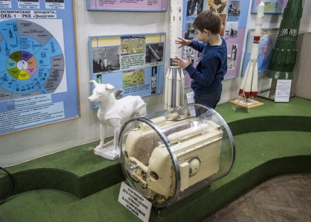 Una foto tomada el 1 de noviembre de 2017 muestra a un niño inspeccionando objetos expuestos junto al perro Contenedor espacial Laika utilizado para entrenamientos antes de despegar para orbitar la Tierra el 3 de noviembre de 1957, en la Casa Central de Aviación y Cosmonáutica en Moscú. Tres años y medio antes de que el cosmonauta ruso Yuri Gagarin se convirtiera en el primer hombre en el espacio, un perro llamado Laika fue en 1957 el primer ser vivo en orbitar la Tierra. El extraviado de Moscú es uno de los muchos animales que precedieron a los humanos en la conquista del espacio; como la mayoría de los otros, ella no sobrevivió. / AFP PHOTO / Mladen ANTONOV