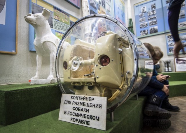 Una foto tomada el 1 de noviembre de 2017 muestra a niños jugando un juego en un teléfono móvil junto al perro Contenedor espacial Laika usado para entrenamientos antes de despegar para orbitar la Tierra el 3 de noviembre de 1957, en la Casa Central de Aviación y Cosmonáutica en Moscú. Tres años y medio antes de que el cosmonauta ruso Yuri Gagarin se convirtiera en el primer hombre en el espacio, un perro llamado Laika fue en 1957 el primer ser vivo en orbitar la Tierra. El extraviado de Moscú es uno de los muchos animales que precedieron a los humanos en la conquista del espacio; como la mayoría de los otros, ella no sobrevivió. / AFP PHOTO / Mladen ANTONOV