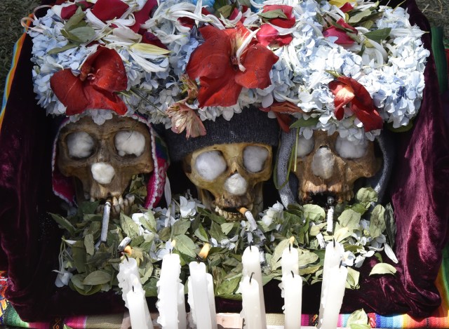 Picture of three "natitas" (snub-nosed) human skulls taken at the Central Cemetery of La Paz during the annual traditional ritual on November 8, 2017. The "natitas" are meant to protect their owners, who keep them at home all year long and bring them to the cemetery chapels every November 8 to perform rituals which end up in a traditional party. / AFP PHOTO / Aizar RALDES