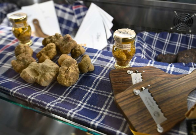 Truffles are on display at a stand during a press tour at FICO Eataly World agri-food park in Bologna on November 9, 2017. / AFP PHOTO / Vincenzo PINTO