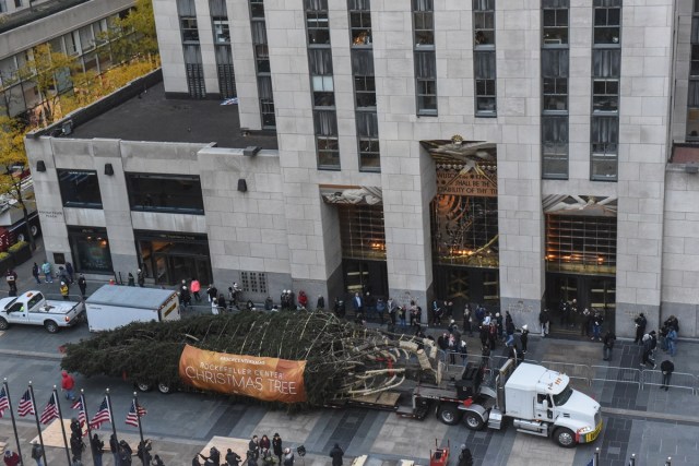 NEW YORK, NY - NOVEMBER 11: The Rockefeller Center tree arrives on November 11, 2017 in New York City.   Stephanie Keith/Getty Images/AFP