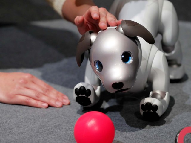 A staff member touches Sony Corp's entertainment robot "aibo" at its demonstration in Tokyo, Japan November 1, 2017. REUTERS/Kim Kyung-Hoon