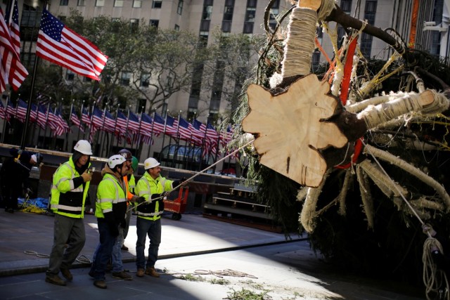 People work on a Christmas tree at Rockefeller Center in New York, U.S., November 11, 2017. REUTERS/Eduardo Munoz