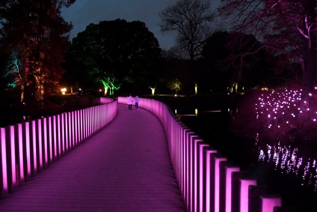 Sculptures, buildings and trees are illuminated at the Kew Gardens light trail at Kew in west London, Britain, November 21, 2017. REUTERS/Toby Melville