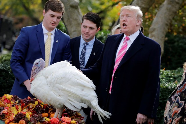 U.S. President Donald Trump participates in the 70th National Thanksgiving turkey pardoning ceremony in the Rose Garden of the White House in Washington, U.S., November 21, 2017. REUTERS/Carlos Barria