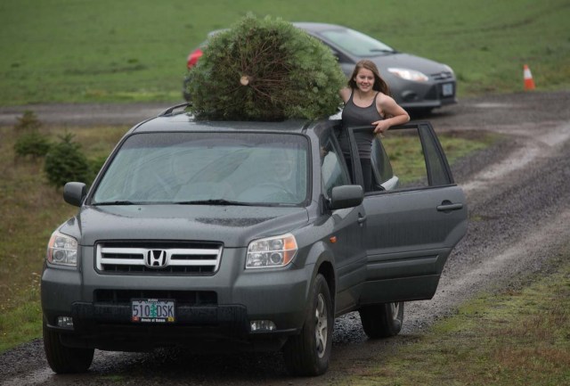 Quinn Bennett, 14, holds a Christmas tree in palace on top of a car after she cut it with her family at a farm in McMinnville, Oregon, U.S., November 25, 2017. Picture taken on November 25, 2017 REUTERS/Natalie Behring