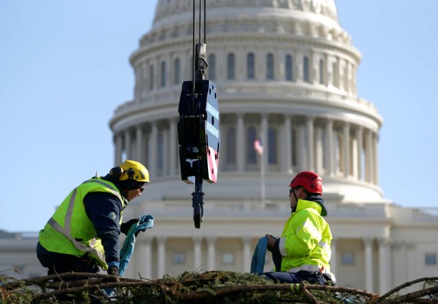 Workers unload the U.S. Capitol Christmas Tree, an Engelmann Spruce from the Kootenai National Forest in Montana, in Washington, U.S., November 27, 2017. REUTERS/Joshua Roberts