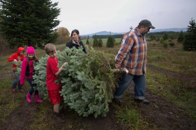 The Goodwin family carries a freshly harvested Christmas tree from a farm in McMinnville, Oregon, U.S., November 25, 2017. Picture taken on November 25, 2017 REUTERS/Natalie Behring