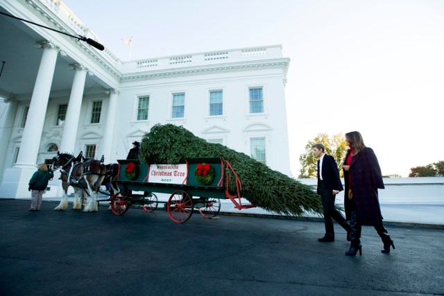 MRX01. WASHINGTON (EE.UU.), 20/11/2017.- La primera dama estadounidense, Melania Trump (d), acompañada de su hijo Barron Trump (2d), camina junto Árbol de Navidad de la Casa Blanca, que será presentado hoy, lunes 20 de noviembre de 2017, en la residencia presidencial en Washington (EE.UU.). EFE/Michael Reynolds