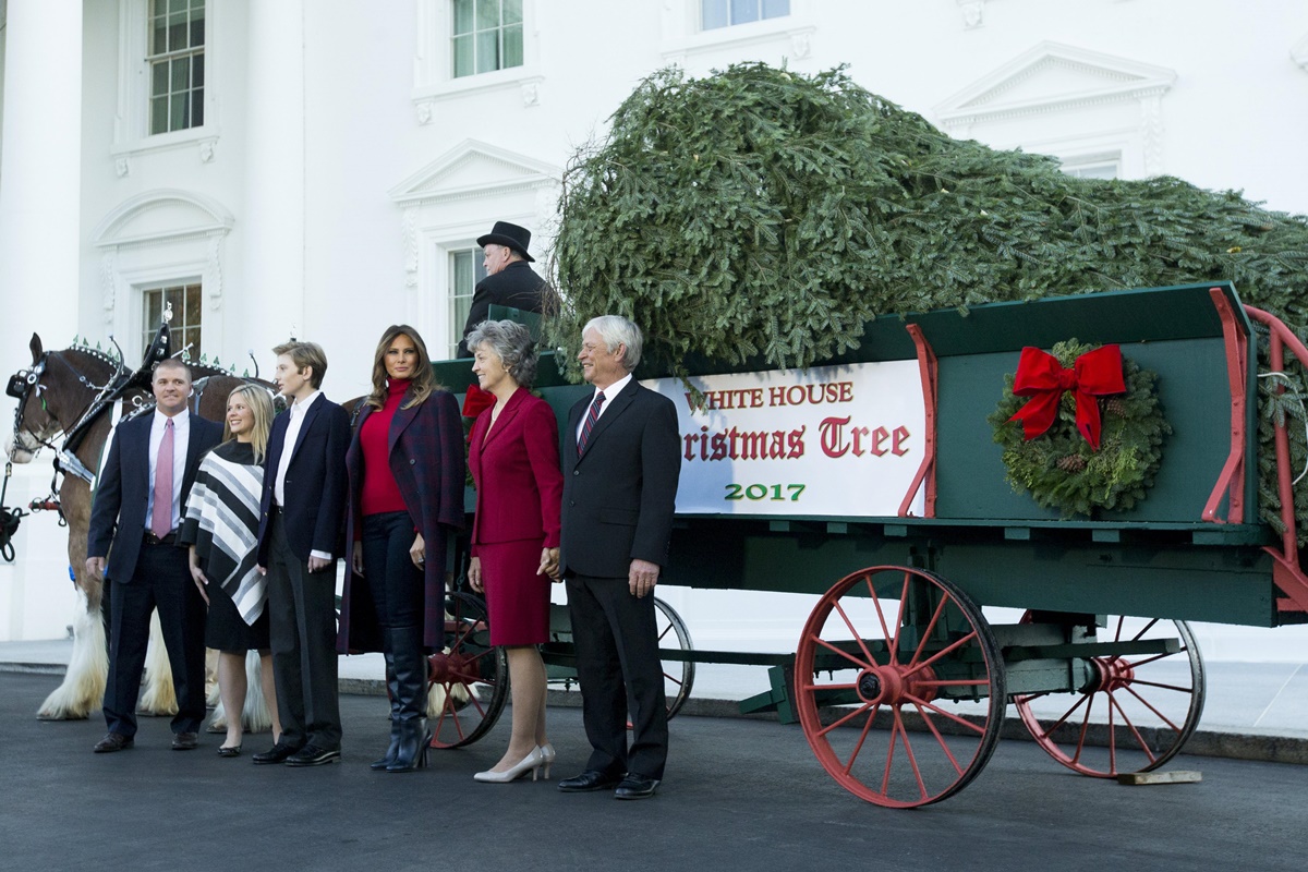 Melania Trump y su hijo reciben su primer árbol navideño de la Casa Blanca