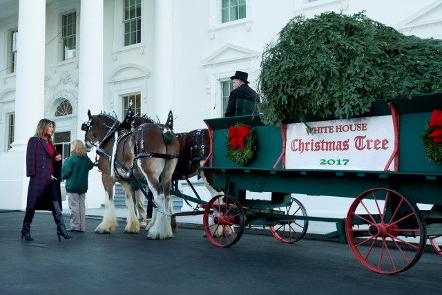 MRX01. WASHINGTON (EE.UU.), 20/11/2017.- La primera dama estadounidense, Melania Trump (i), camina junto Árbol de Navidad de la Casa Blanca, que será presentado hoy, lunes 20 de noviembre de 2017, en la residencia presidencial en Washington (EE.UU.). EFE/Michael Reynolds