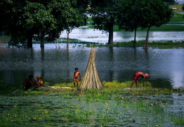 Flood victims work on the Jute plant at the flood affected area at Saptari District, Nepal August 14, 2017. REUTERS/Navesh Chitrakar/File Photo      SEARCH "POY GLOBAL" FOR THIS STORY. SEARCH "REUTERS POY" FOR ALL BEST OF 2017 PACKAGES.    TPX IMAGES OF THE DAY