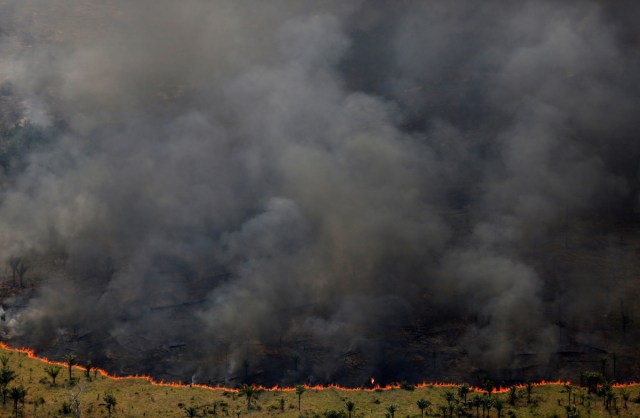 Burning forest is seen during "Operation Green Wave" conducted by agents of the Brazilian Institute for the Environment and Renewable Natural Resources, or Ibama, to combat illegal logging in Apui, in the southern region of the state of Amazonas, Brazil, August 4, 2017. REUTERS/Bruno Kelly/File Photo      SEARCH "POY GLOBAL" FOR THIS STORY. SEARCH "REUTERS POY" FOR ALL BEST OF 2017 PACKAGES.    TPX IMAGES OF THE DAY
