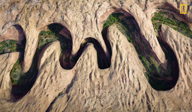 Meandering Canyon Premio del público en la categoría: Fotografía aérea La vegetación florece en los márgenes de un río encajado en un serpenteante cañón de Utah, Estados Unidos. Foto: David / National Geographic Nature Photographer of the Year 2017