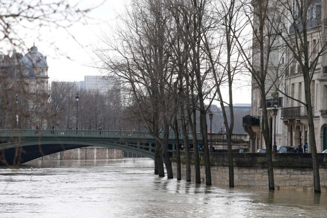 This photo shows the tree trunks partially submerged in the water of the swollen Seine river in Paris on January 28, 2018. The swollen Seine rose even higher on January 28, keeping Paris on alert, though forecasters said the flooding should peak by the end of the day. / AFP PHOTO / GEOFFROY VAN DER HASSELT
