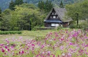 Una ruta por los 16 lugares Patrimonio de la Humanidad de Japón