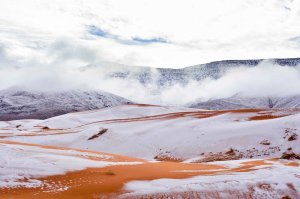 Las doradas dunas del desierto de Sahara se cubren de nieve (fotos)