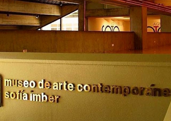 Museo de Arte Contemporáneo de Caracas se denominará “Armando Reverón”