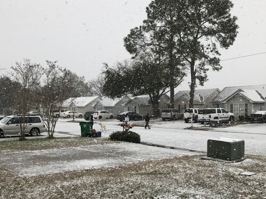 Cae nieve en Tallahassee, la capital de la cálida Florida