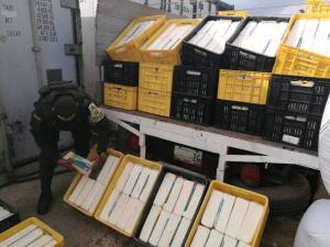 Policía colombiana decomisa más de 3.900 kilos de queso venezolano de contrabando