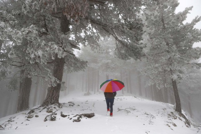 A woman walks in a forest covered by snow with a colorfull umbrella as a wave of cold weather is hitting France, on February 22, 2018 close from Ghisoni on the French Mediterranean island of Corsica. / AFP PHOTO / PASCAL POCHARD-CASABIANCA