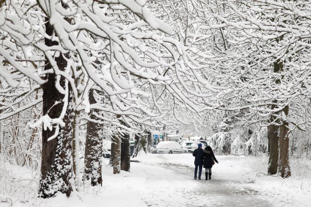La gente camina en un sendero cubierto de nieve en el Bois de Vincennes en París, Francia, mientras el clima invernal con nieve y temperaturas heladas llegan a Francia el 7 de febrero de 2018. REUTERS / Charles Platiau