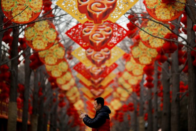 FILE PHOTO: A man takes pictures of trees decorated for Spring Festival ahead of the Chinese Lunar New Year at Ditan Park in Beijing, China February 11, 2018. REUTERS/Thomas Peter/File Photo