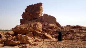 Hallan misteriosas esculturas de dromedarios en unas rocas de Arabia Saudí