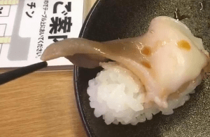 El sushi de este hombre estaba tan fresco que se movía como un gusano (video)