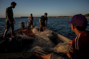Insumos de pesca se hacen inaccesibles para los pescadores de Nueva Esparta