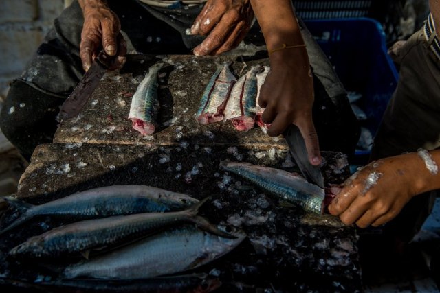 Durante generaciones, en Amuay se ha pescado sardinas, almejas y cangrejos de la bahía. Credit Meridith Kohut para The New York Times