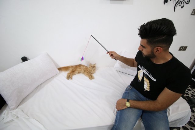 A veterinary medicine student plays with a cat in a cat hotel in Basra, Iraq, March 13, 2018. Picture taken March 13, 2018. REUTERS/Essam Al-Sudani
