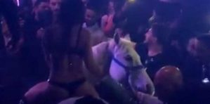 Semidesnuda y a caballo en una discoteca: no terminó bien (Video)