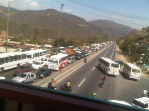 Caballos sueltos en medio de la autopista Caracas-La Guaira (VIDEO)