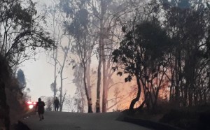 Controlado incendio en El Ávila (Fotos y Video)