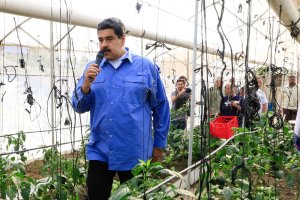 Otro bozal de arepa: Maduro anuncia nuevo bono para este mes