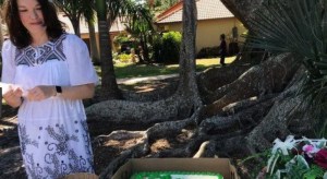 Mujer se “casa” con árbol centenario de Florida para evitar que lo talen
