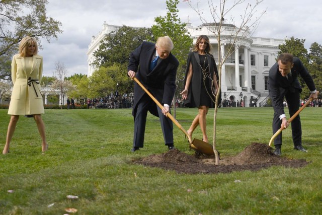 US President Donald Trump and French President Emmanuel Macron plant a tree watched by Trump's wife Melania and Macron's wife Brigitte on the grounds of the White House April 23, 2018 in Washington,DC. The tree, a gift from French President Macron, comes from Belleau Woods, near the Marne River in France, where in June 1918 US forces suffered 9,777 casualties, including 1,811 killed in the Belleau Wood battle during World War I. / AFP PHOTO / JIM WATSON