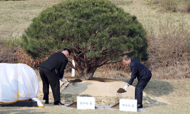 El presidente surcoreano Moon Jae-in y el líder norcoreano Kim Jong Un plantaron un árbol conmemorativo en la aldea de tregua de Panmunjom dentro de la zona desmilitarizada que separa las dos Coreas, Corea del Sur, el 27 de abril de 2018. Korea Summit Press Pool / Pool vía Reuters