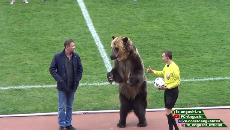 Hasta este oso ya se contagió con la fiebre del Mundial de Rusia 2018 (Video)