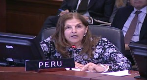 Perú alerta a la región sobre el impacto sanitario derivado de la crisis venezolana