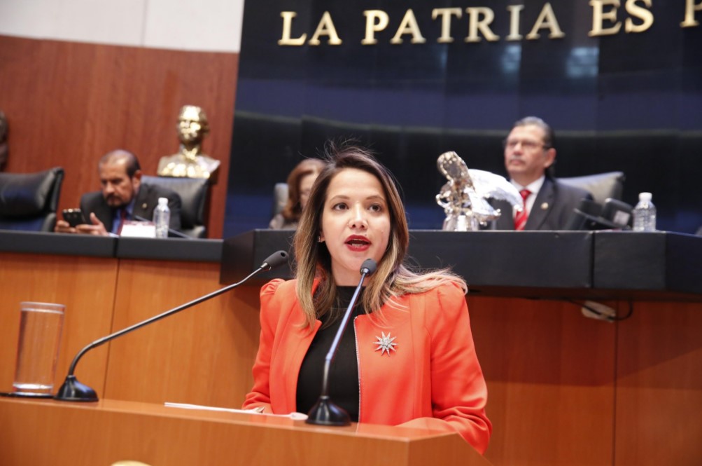Senadora mexicana exige “trato digno” para migrantes venezolanos